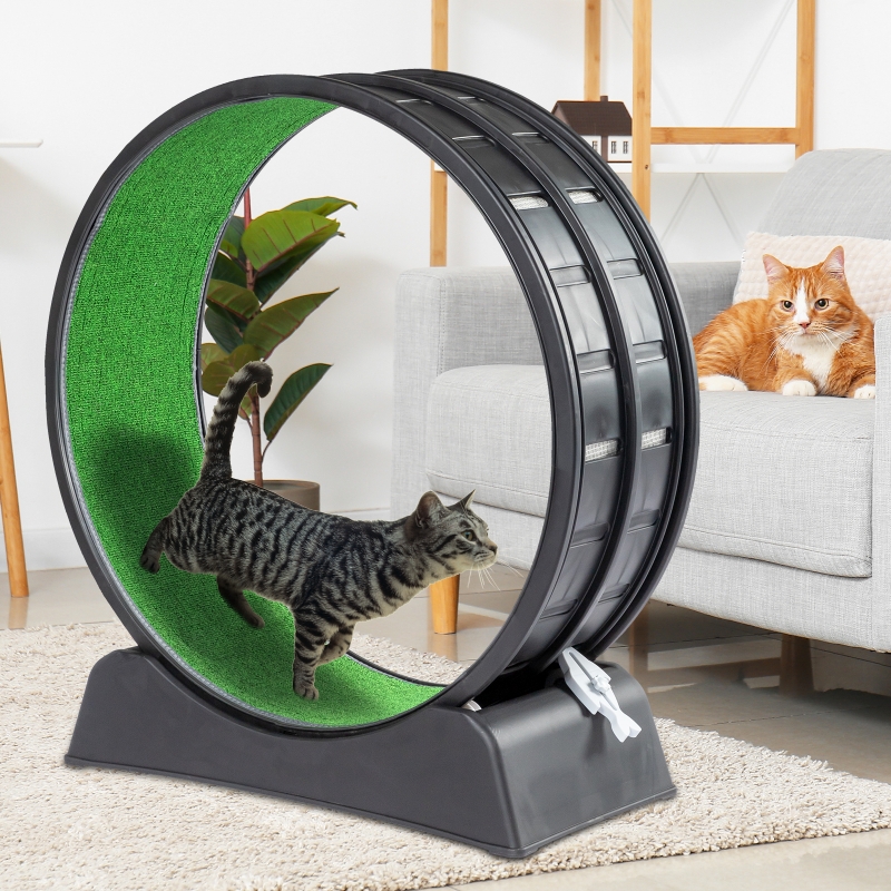 Zimtown Cat Exercise Wheel, 31 inch Extra-Large Cat Wheels for Indoor ...